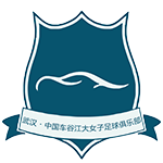达曼协作